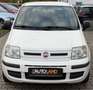 Fiat Panda 1.2 8V Dynamic*TÜV 11/2026*GEPFLEGT!* Weiß - thumbnail 3