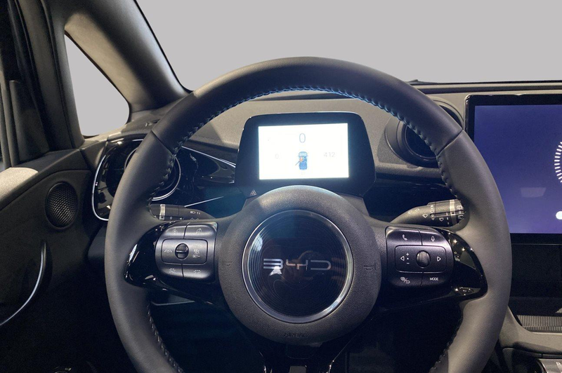 BYD Dolphin COMFORT — photo 12
