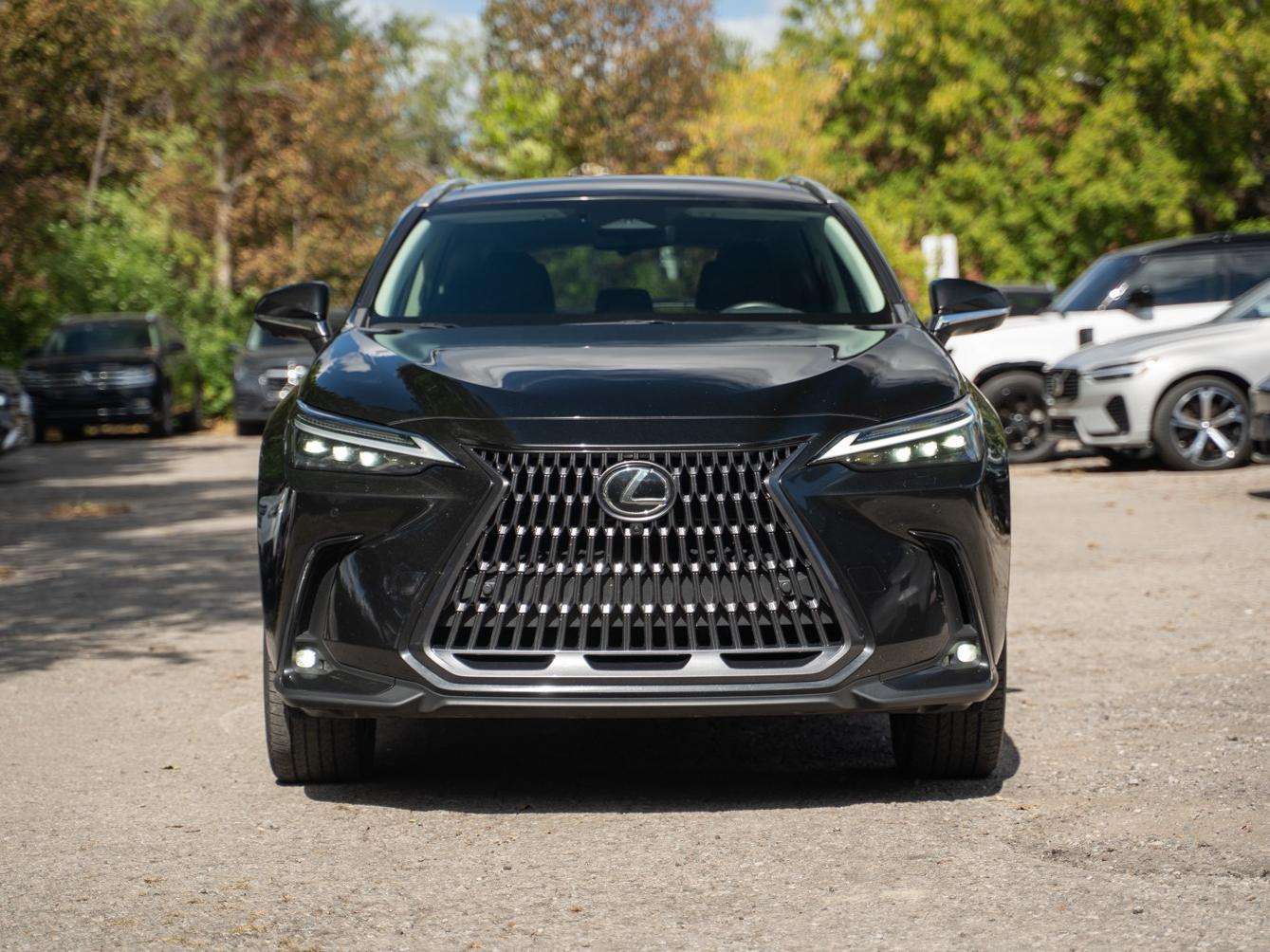 2024 Lexus NX Hybrid