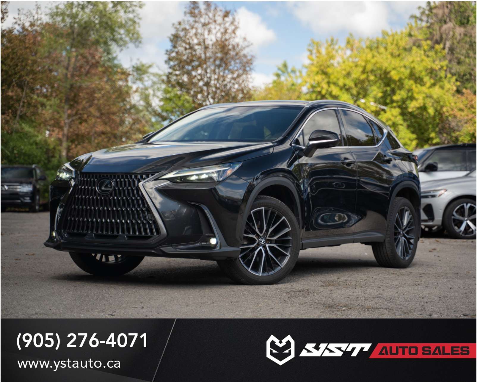 2024 Lexus NX Hybrid
