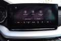 Skoda Octavia Octavia 2.0 TDI Premium Blau - thumbnail 31