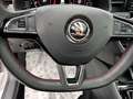 Skoda Kamiq Monte Carlo DSG/ACC/Virtual Grau - thumbnail 15
