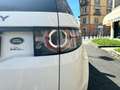 Land Rover Discovery Sport Business Edition Premium SE 2.0 TD4 Bianco - thumbnail 10