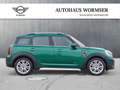 MINI Cooper SD Countryman Cooper SD ALL4 Countryman DAB LED Navi Grün - thumbnail 3