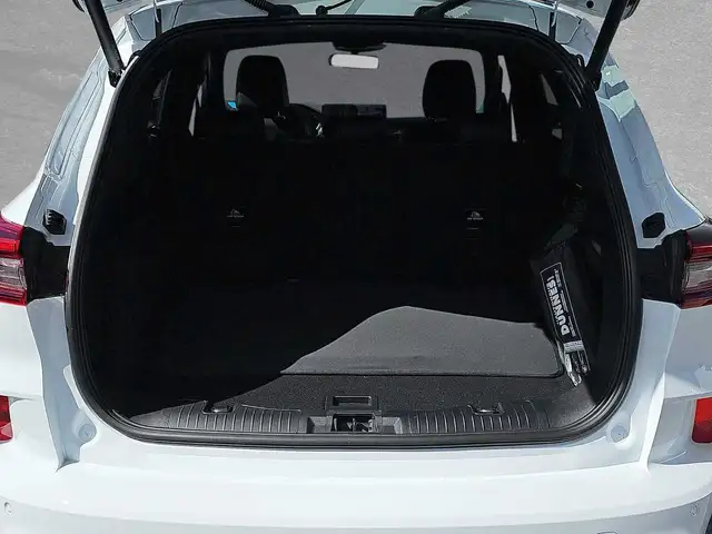 Ford Kuga view 10