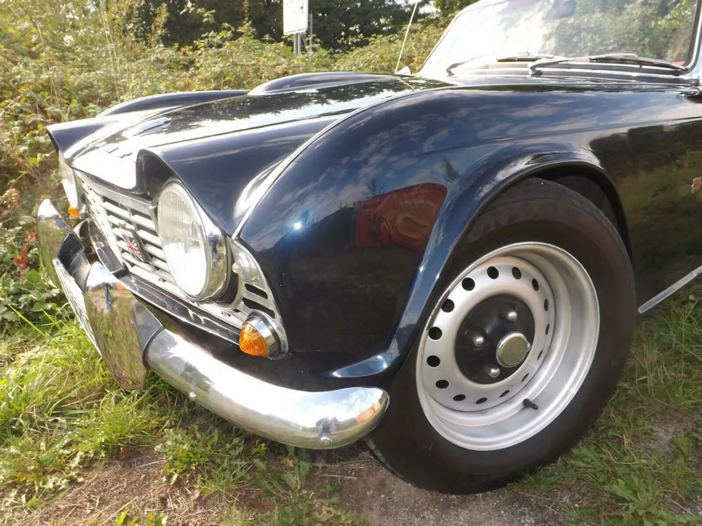 Triumph TR5 -mit Zertifikat der Originalität!! Modrá - 2