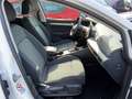 Volkswagen Golf Variant 1.5 TSI 85 kW Weiß - thumbnail 10
