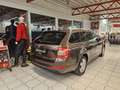 Skoda Octavia 4x4 Style DSG Braun - thumbnail 14