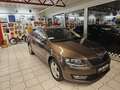 Skoda Octavia 4x4 Style DSG Braun - thumbnail 8