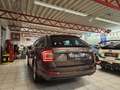 Skoda Octavia 4x4 Style DSG Braun - thumbnail 11
