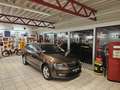 Skoda Octavia 4x4 Style DSG Braun - thumbnail 6