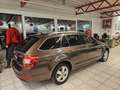 Skoda Octavia 4x4 Style DSG Braun - thumbnail 13