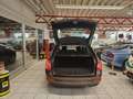 Skoda Octavia 4x4 Style DSG Braun - thumbnail 17