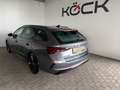 Skoda Octavia RS 4x4 Grau - thumbnail 14