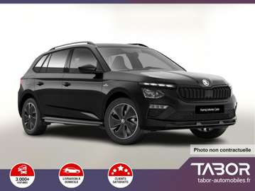 116 DSG Monte Pano Matrix ACC Cam