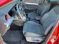 SEAT Ibiza FR 1.0 TSI DSG Rot - thumbnail 3