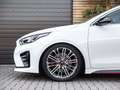 Kia ProCeed / pro_cee'd 1.6 T-GDI GT / Panoramadak / Memory functie / Adap Blanc - thumbnail 11