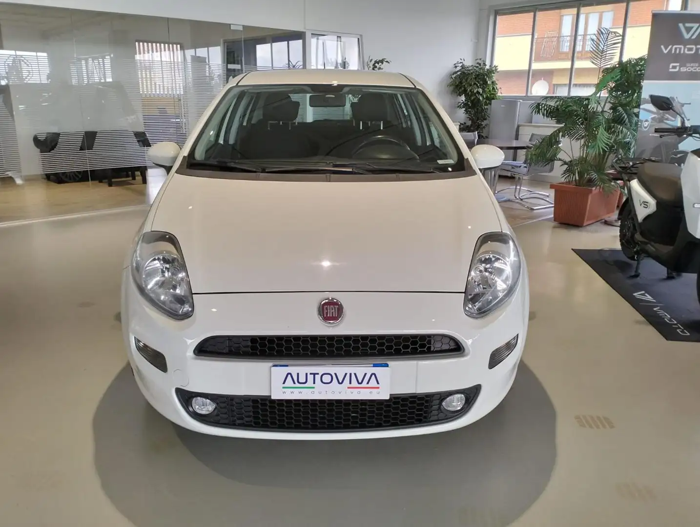 Fiat Punto 1.4 8V 5 porte Easypower Street Weiß - 2