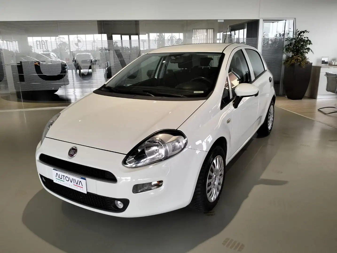 Fiat Punto 1.4 8V 5 porte Easypower Street Weiß - 1