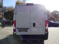 Fiat Ducato Maxi 35 L4H2 KAMERA/KLIMAAUT/CARPLAY/AHK Weiß - thumbnail 13