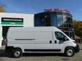 Fiat Ducato Maxi 35 L4H2 KAMERA/KLIMAAUT/CARPLAY/AHK Weiß - thumbnail 15