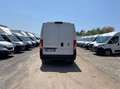 Fiat Ducato Ducato 290 35  LH2 2.2 mjt3 160cv Bianco - thumbnail 5