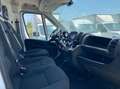 Fiat Ducato Ducato 290 35  LH2 2.2 mjt3 160cv Bianco - thumbnail 11