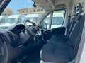 Fiat Ducato Ducato 290 35  LH2 2.2 mjt3 160cv Bianco - thumbnail 9