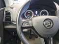 Skoda Karoq Style Navi,App-Connect,LED,Kamera,PDC Blau - thumbnail 21