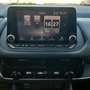 Nissan Qashqai 1.3mhev Business 2wd 158cv Xtronic Rouge - thumbnail 16