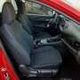 Nissan Qashqai 1.3mhev Business 2wd 158cv Xtronic Rouge - thumbnail 11