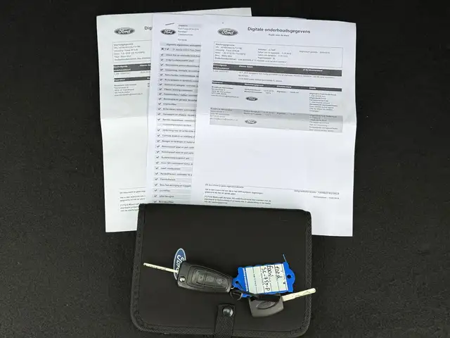 Ford Focus view 10