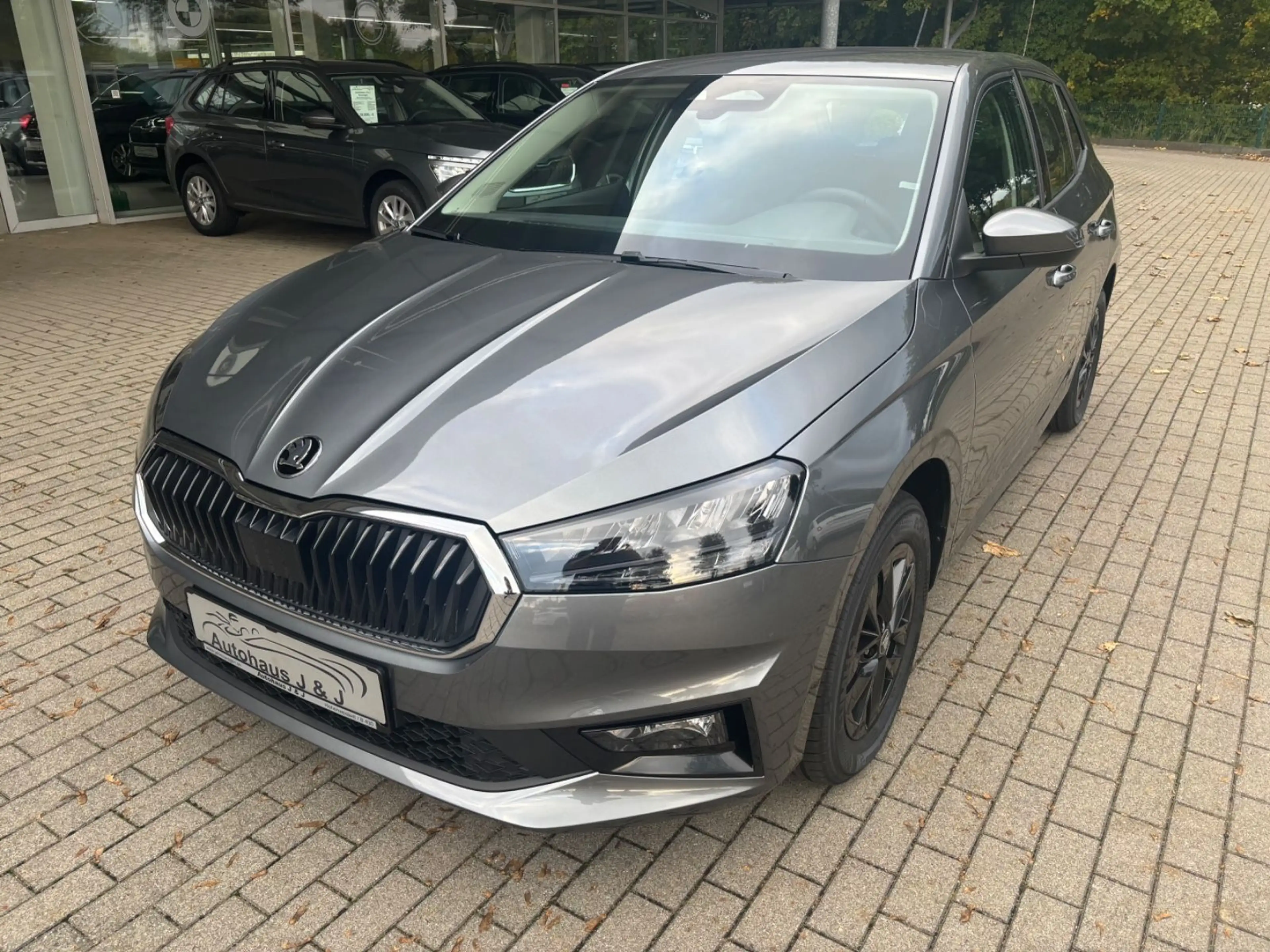 Skoda Fabia Selection 1.0 TSI DSG PDC/APP/RFK/LED/TEMP