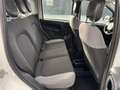 Fiat Panda Panda 1.0 FireFly S&S Hybrid Blanco - thumbnail 9