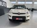 Fiat Panda Panda 1.0 FireFly S&S Hybrid Blanco - thumbnail 4