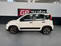 Fiat Panda Panda 1.0 FireFly S&S Hybrid Blanco - thumbnail 2