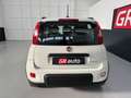 Fiat Panda Panda 1.0 FireFly S&S Hybrid Blanco - thumbnail 7