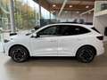 Ford Kuga PHEV ST-LINE X 2.5 ECOBOOST 243CV Blanc - thumbnail 5