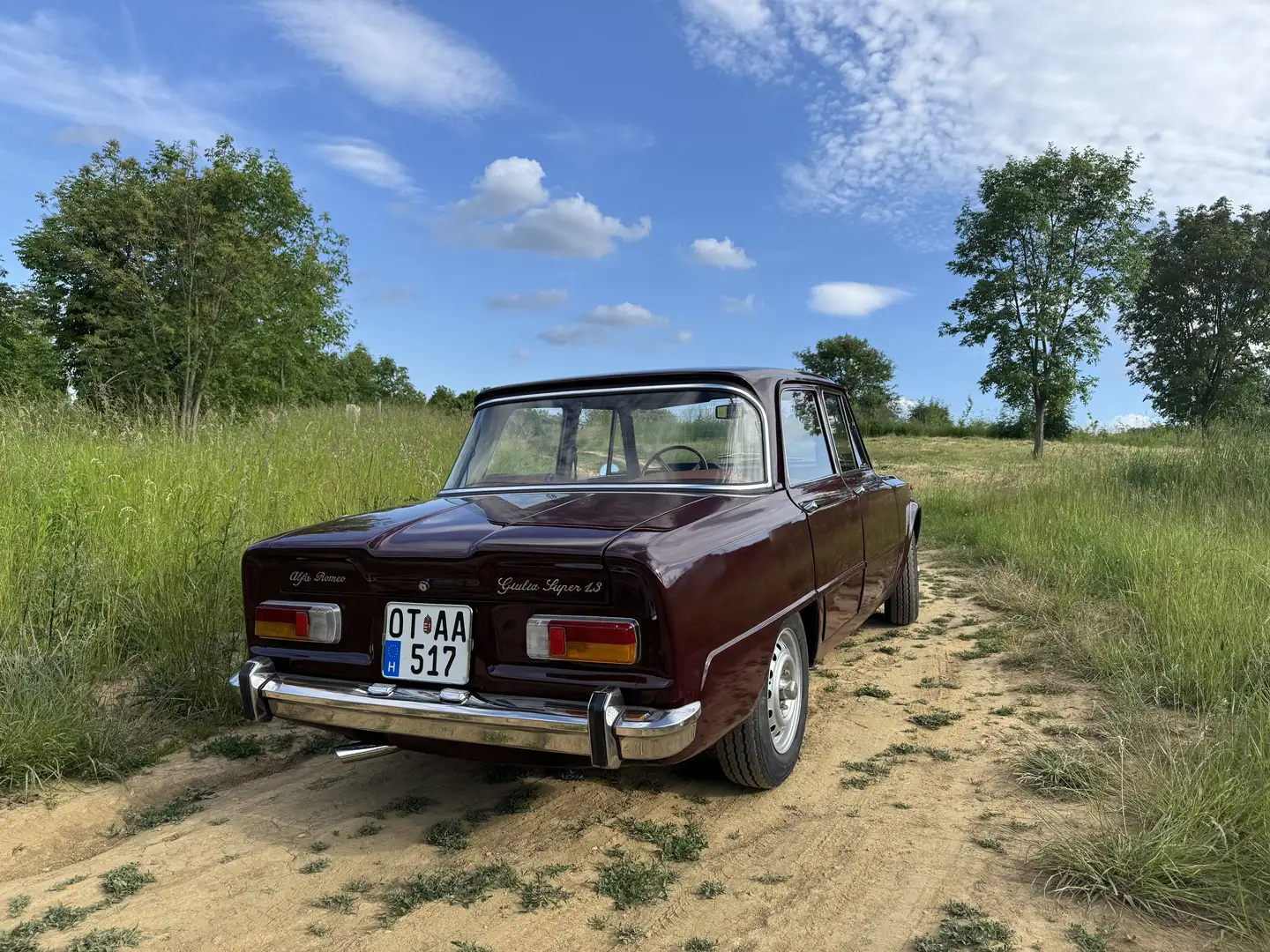 Alfa Romeo Giulia Super 1300 - 2