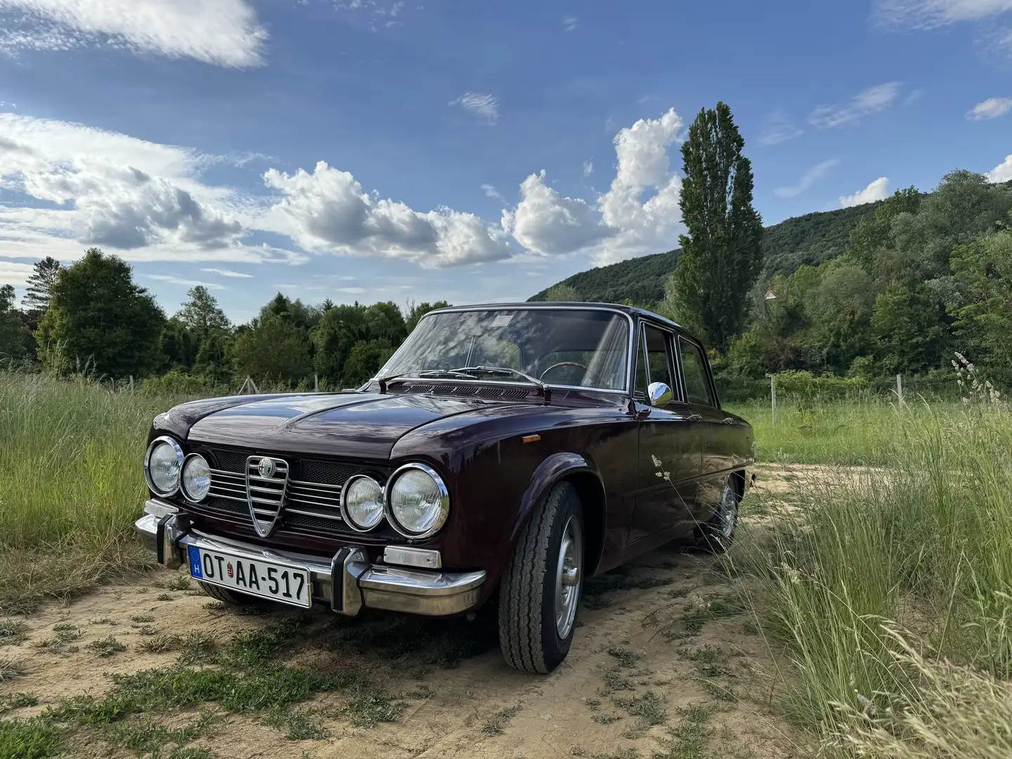 Alfa Romeo Giulia Super 1300 - 1