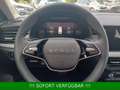 Skoda Kamiq 1.0 TSI Selection Plus*DSG*AHK*Kamera* Gris - thumbnail 29