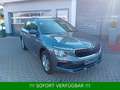 Skoda Kamiq 1.0 TSI Selection Plus*DSG*AHK*Kamera* Gris - thumbnail 14