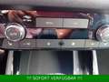 Skoda Kamiq 1.0 TSI Selection Plus*DSG*AHK*Kamera* Gris - thumbnail 32