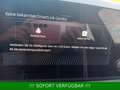Skoda Kamiq 1.0 TSI Selection Plus*DSG*AHK*Kamera* Gris - thumbnail 36