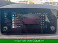 Skoda Kamiq 1.0 TSI Selection Plus*DSG*AHK*Kamera* Gris - thumbnail 38