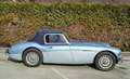 Austin Typ: 100/6 BN4 Cabrio Blau - thumbnail 6