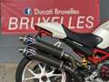 Ducati Monster S4R S | "Collector" - thumbnail 14