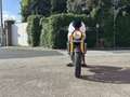 Ducati Monster S4R S | "Collector" - thumbnail 10