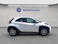 Toyota Aygo X X Play, Rü-Kamera, Klima, ACC, Lichtsensor Blanco - thumbnail 6