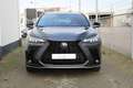 Lexus NX 450h+ Plug-in Hybride AWD F-SPORT I Applecarplay I Garan Gris - thumbnail 38